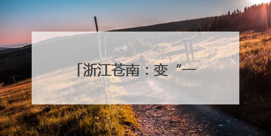 浙江苍南：变“一人一校”为“一团一校” 组团式督导督出学校发展加速度