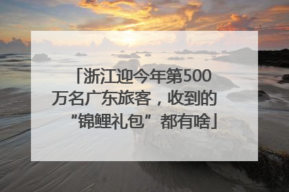 浙江迎今年第500万名广东旅客，收到的“锦鲤礼包”都有啥