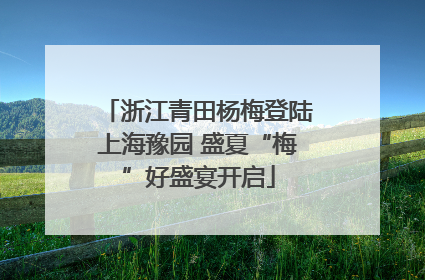 浙江青田杨梅登陆上海豫园 盛夏“梅”好盛宴开启