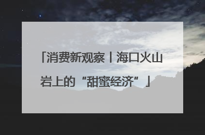 消费新观察丨海口火山岩上的“甜蜜经济”