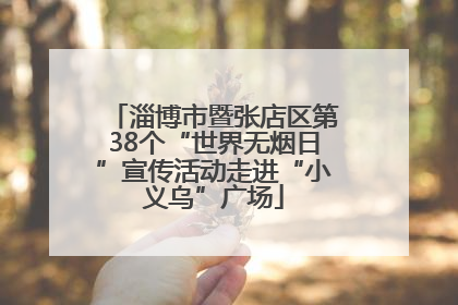 淄博市暨张店区第38个“世界无烟日”宣传活动走进“小义乌”广场