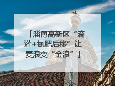 淄博高新区“滴灌+氮肥后移”让麦浪变“金浪”