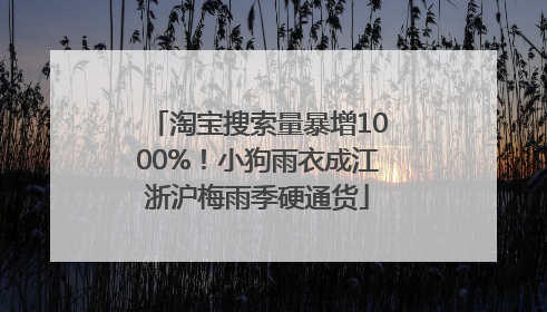 淘宝搜索量暴增1000%！小狗雨衣成江浙沪梅雨季硬通货