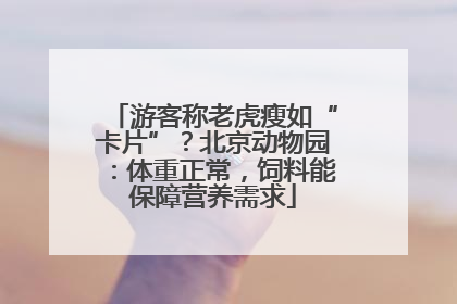 游客称老虎瘦如“卡片”？北京动物园：体重正常，饲料能保障营养需求