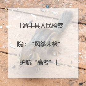 清丰县人民检察院：“风筝未检”护航“高考”