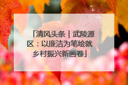 清风头条｜武陵源区：以廉洁为笔绘就乡村振兴新画卷