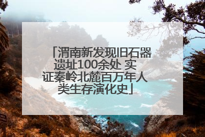 渭南新发现旧石器遗址100余处 实证秦岭北麓百万年人类生存演化史