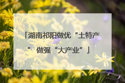 湖南祁阳做优“土特产” 做强“大产业”