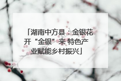 湖南中方县：金银花开“金银”来 特色产业赋能乡村振兴