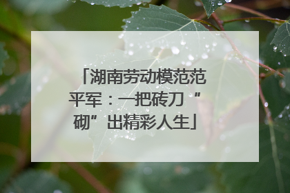 湖南劳动模范范平军：一把砖刀“砌”出精彩人生