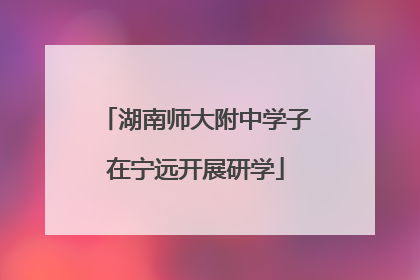 湖南师大附中学子在宁远开展研学