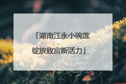 湖南江永小碗莲绽放致富新活力