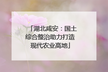 湖北咸安：国土综合整治助力打造现代农业高地
