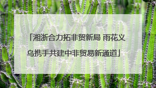 湘浙合力拓非贸新局 雨花义乌携手共建中非贸易新通道