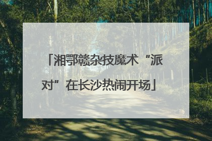 湘鄂赣杂技魔术“派对”在长沙热闹开场