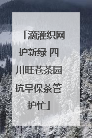 滴灌织网护新绿 四川旺苍茶园抗旱保茶管护忙