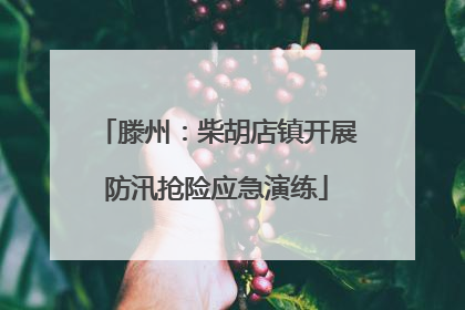 滕州：柴胡店镇开展防汛抢险应急演练