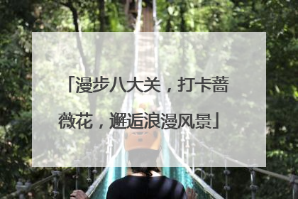 漫步八大关，打卡蔷薇花，邂逅浪漫风景