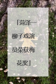 菏泽一柳子戏演员荣获梅花奖