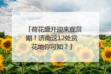 荷花盛开迎来观赏期！济南这12处赏花地你可知？