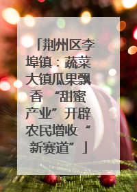 荆州区李埠镇：蔬菜大镇瓜果飘香 “甜蜜产业”开辟农民增收“新赛道”