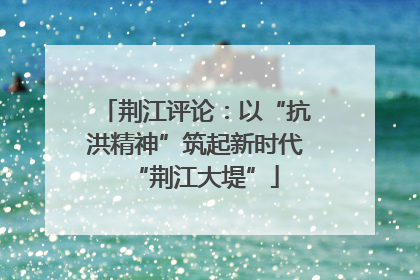 荆江评论：以“抗洪精神”筑起新时代“荆江大堤”