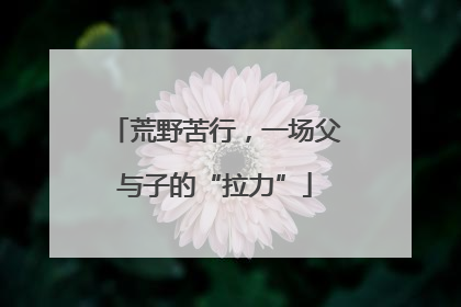 荒野苦行，一场父与子的“拉力”