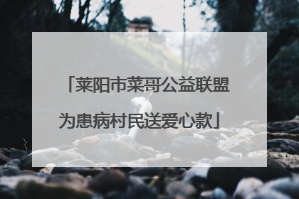 莱阳市菜哥公益联盟为患病村民送爱心款
