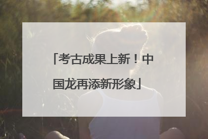 考古成果上新！中国龙再添新形象
