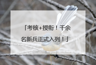 考核+授衔！千余名新兵正式入列！