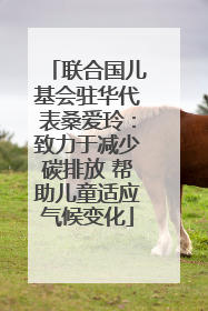 联合国儿基会驻华代表桑爱玲：致力于减少碳排放 帮助儿童适应气候变化