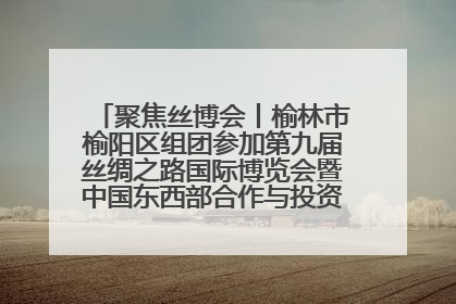 聚焦丝博会丨榆林市榆阳区组团参加第九届丝绸之路国际博览会暨中国东西部合作与投资贸易洽谈会