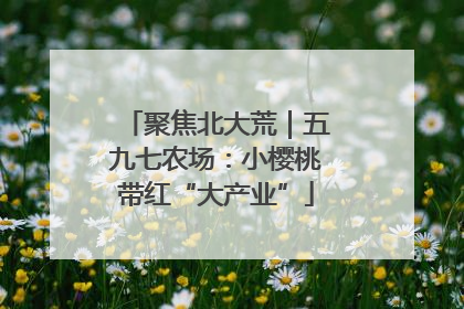 聚焦北大荒｜五九七农场：小樱桃带红“大产业”