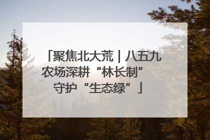 聚焦北大荒｜八五九农场深耕“林长制” 守护“生态绿”