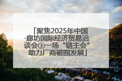 聚焦2025年中国·廊坊国际经济贸易洽谈会③一场“链主会” 助力厂商破圈发展