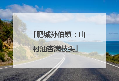 肥城孙伯镇：山村油杏满枝头