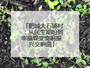 肥城大石铺村：从民生期盼到幸福蝶变奏响振兴交响曲