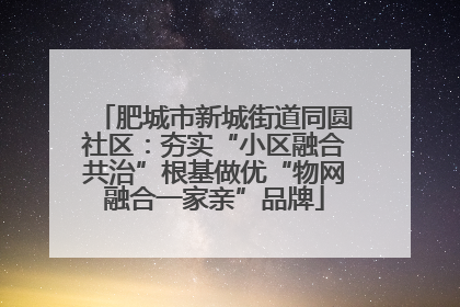 肥城市新城街道同圆社区：夯实“小区融合共治”根基做优“物网融合一家亲”品牌
