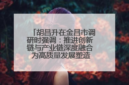 胡昌升在金昌市调研时强调：推进创新链与产业链深度融合 为高质量发展塑造新动能新优势