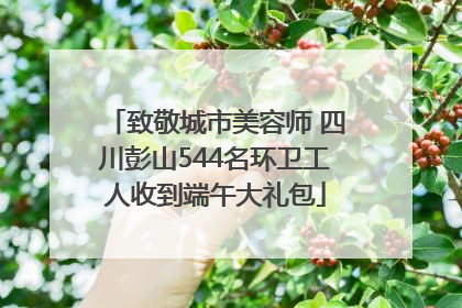 致敬城市美容师 四川彭山544名环卫工人收到端午大礼包