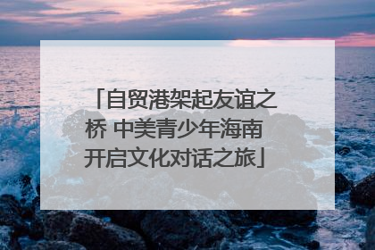 自贸港架起友谊之桥 中美青少年海南开启文化对话之旅
