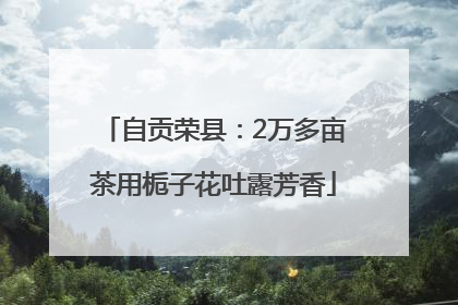 自贡荣县：2万多亩茶用栀子花吐露芳香