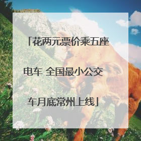 花两元票价乘五座电车 全国最小公交车月底常州上线
