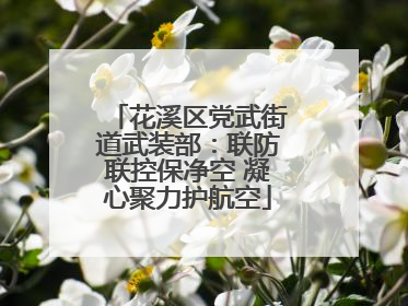 花溪区党武街道武装部：联防联控保净空 凝心聚力护航空