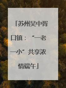 苏州吴中胥口镇：“一老一小”共享浓情端午
