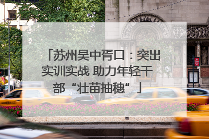 苏州吴中胥口：突出实训实战 助力年轻干部“壮苗抽穗”