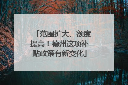 范围扩大、额度提高！德州这项补贴政策有新变化