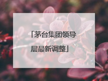 茅台集团领导层最新调整