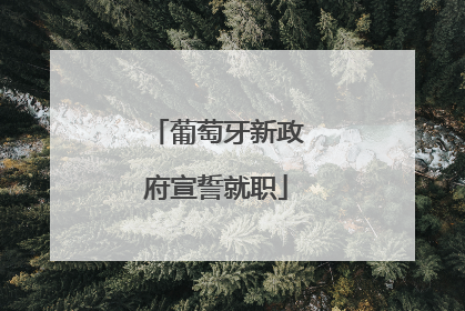 葡萄牙新政府宣誓就职