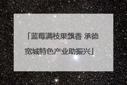 蓝莓满枝果飘香 承德宽城特色产业助振兴